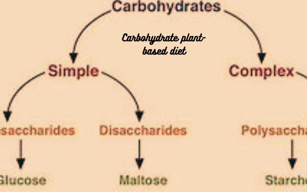 carbohydrate plant-based diet