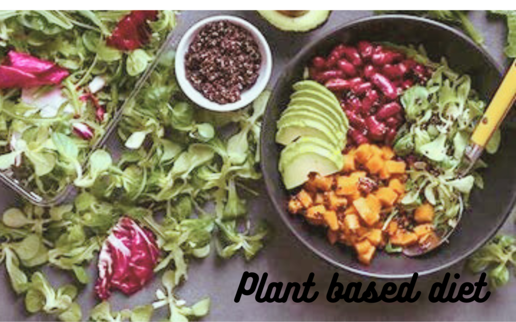 Plant-Based diet