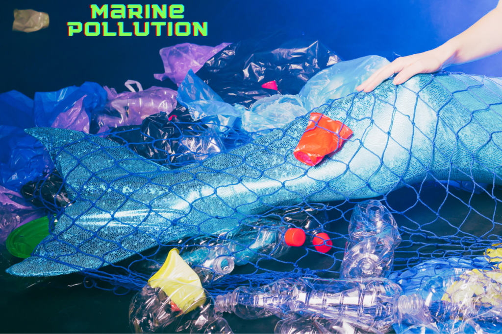 Marine Pollution