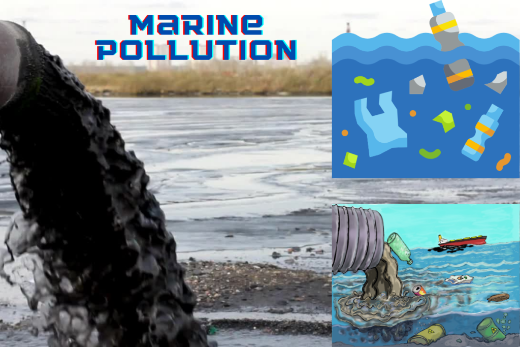 Marine Pollution