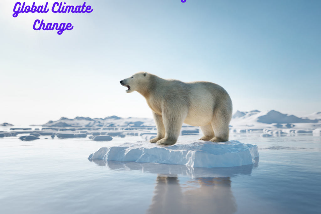 Global Climate Change