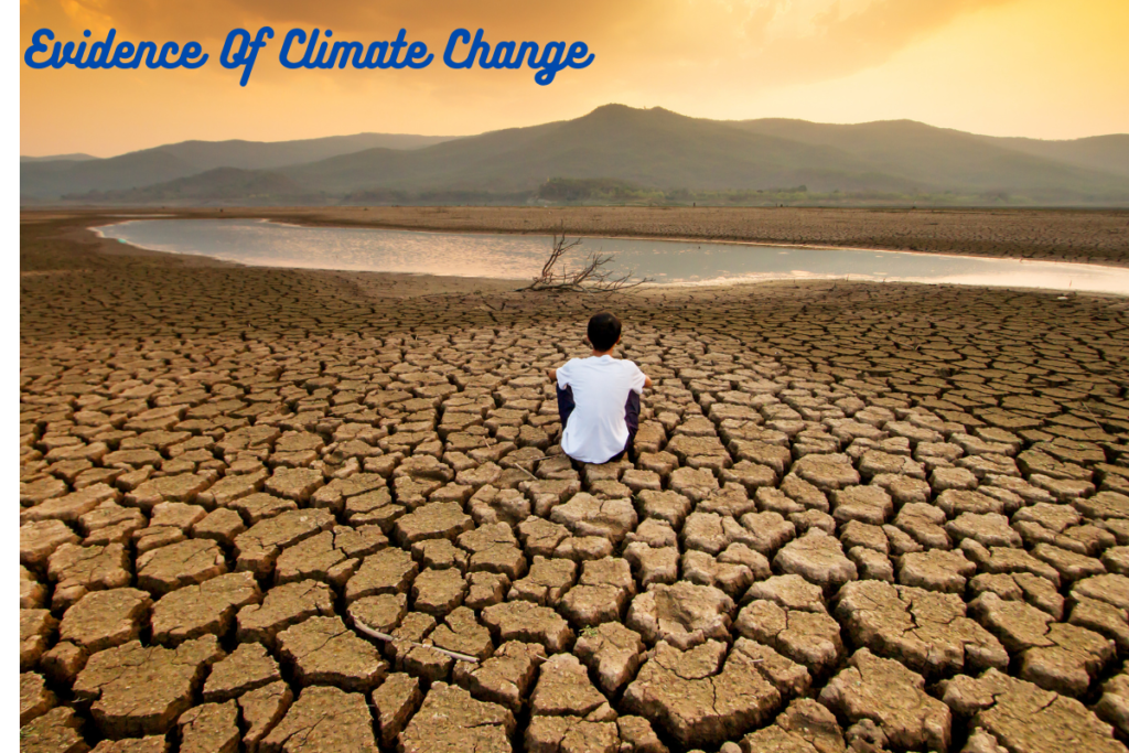 Climate change effect