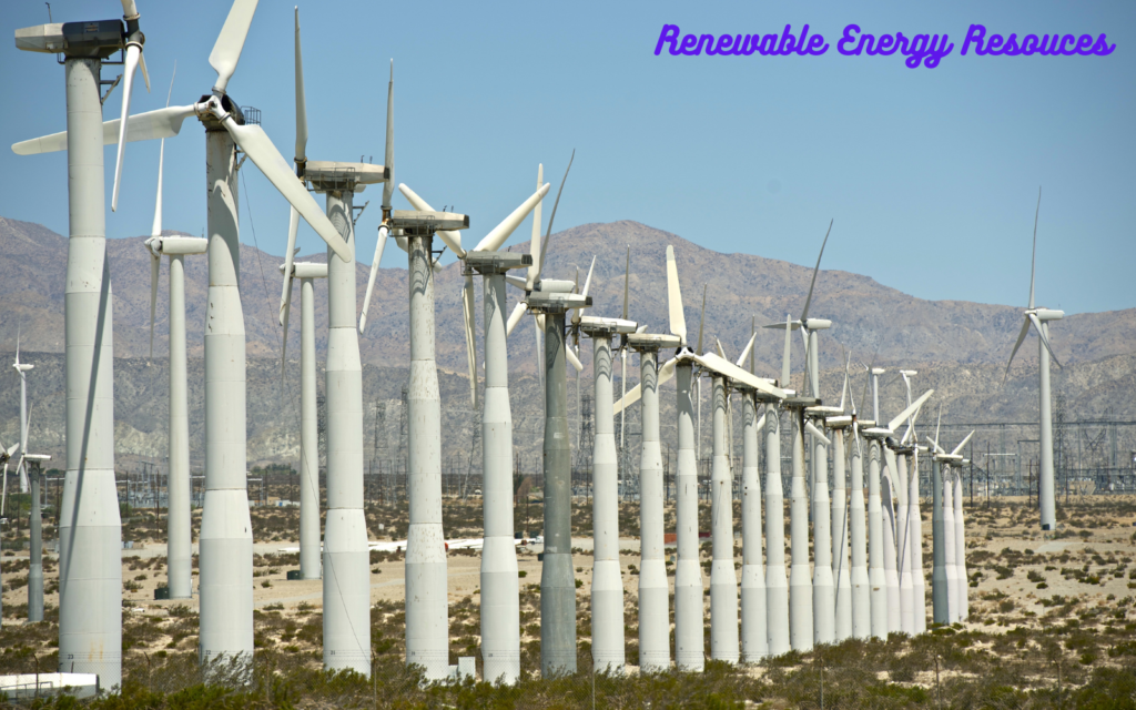 Renewable Resources