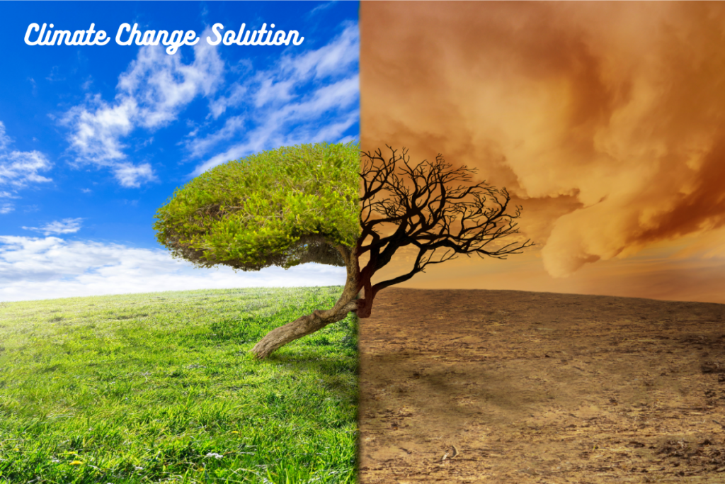 Climate Change Solution