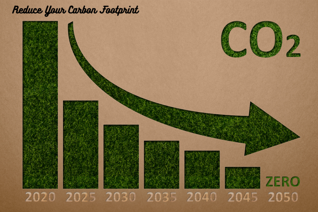 Reduce Your Carbon Footprint