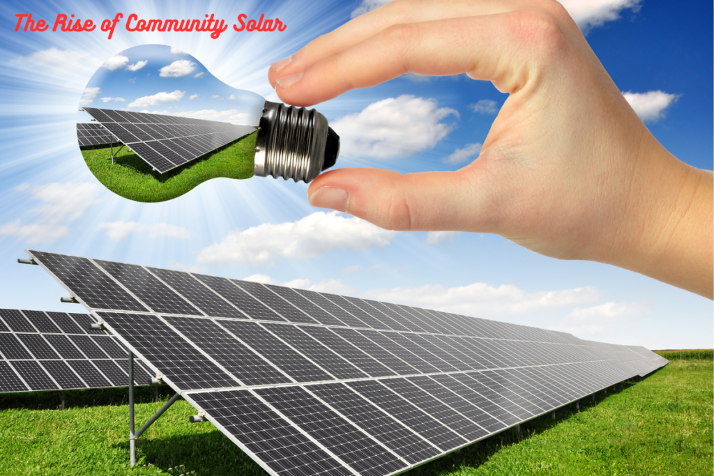 The Rise of Community Solar