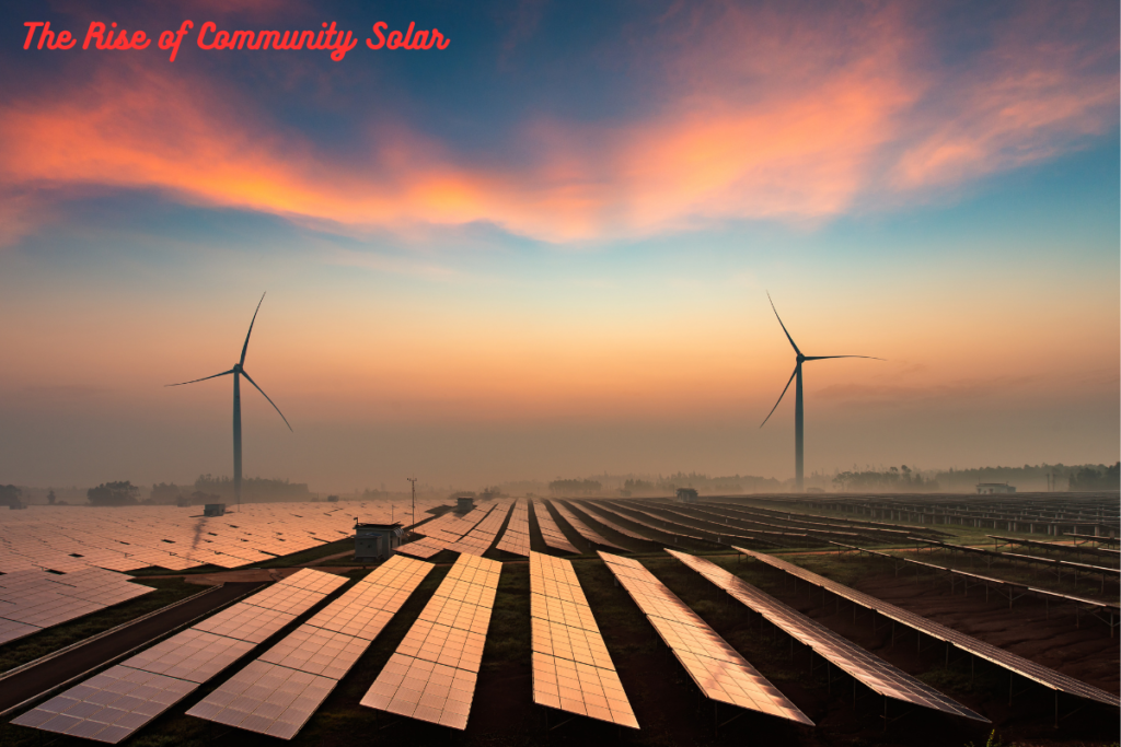 The Rise of Community Solar