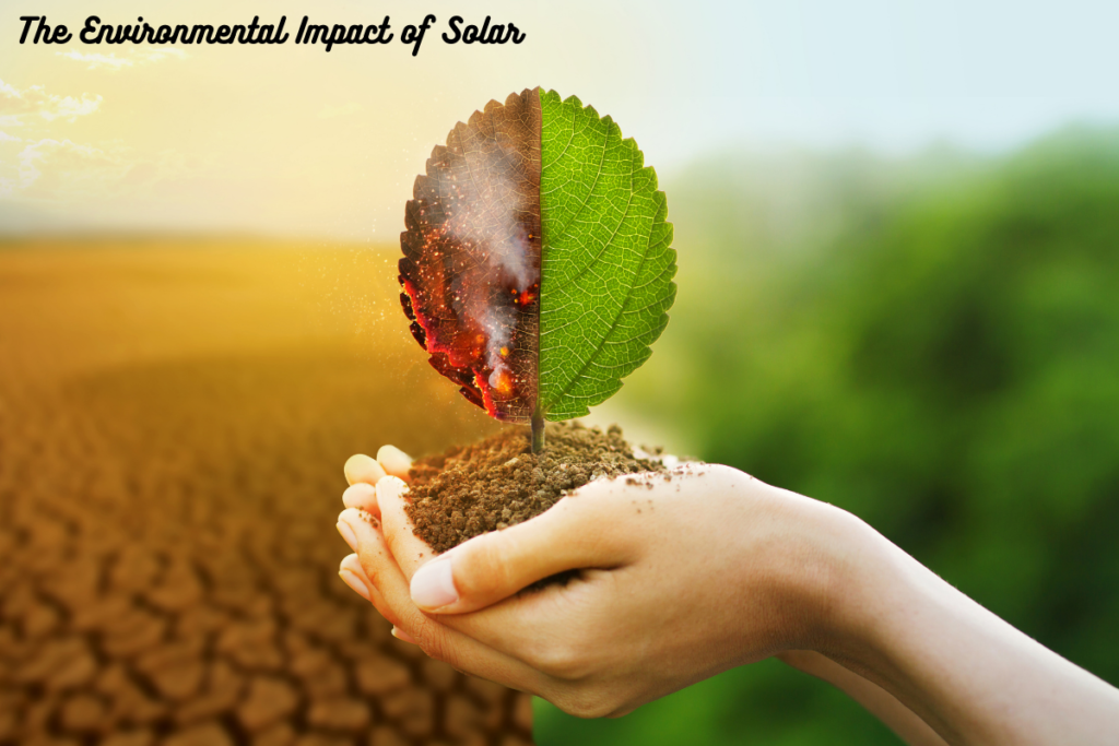 The Environmental Impact of Solar