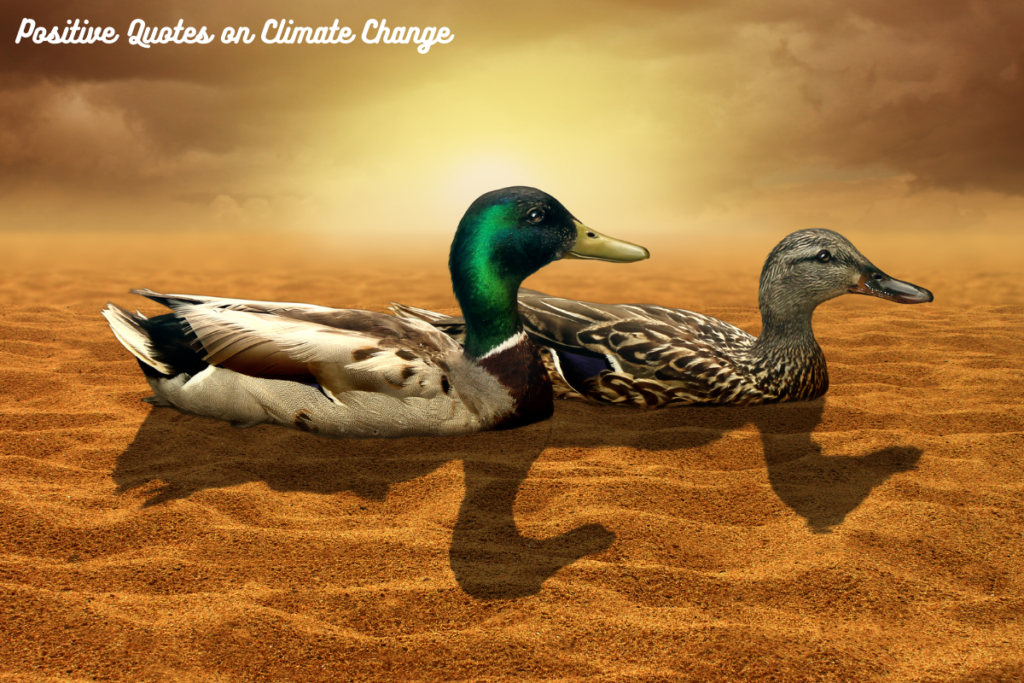 Positive Quotes on Climate Change