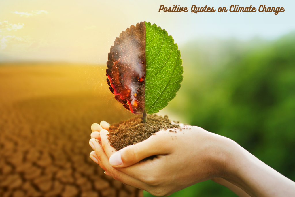 Positive Quotes on Climate Change