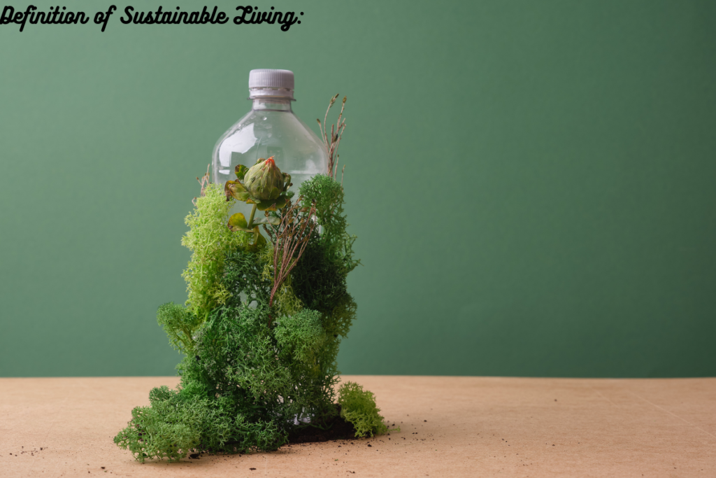 Definition of Sustainable Living