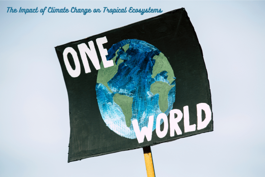The Impact of Climate Change on Tropical Ecosystems