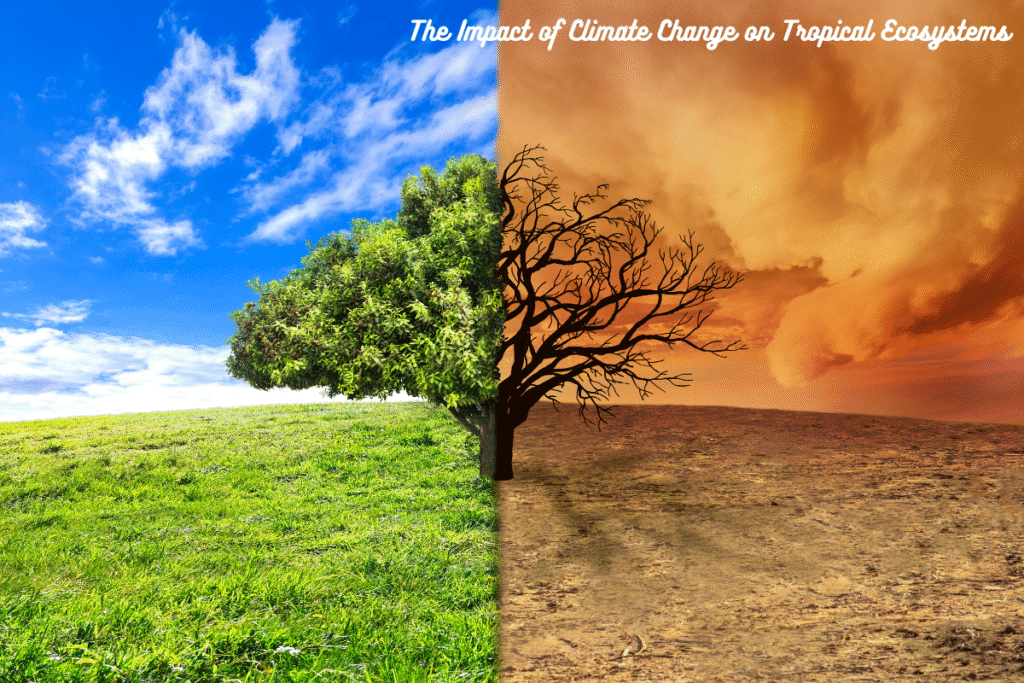The Impact of Climate Change on Tropical Ecosystems