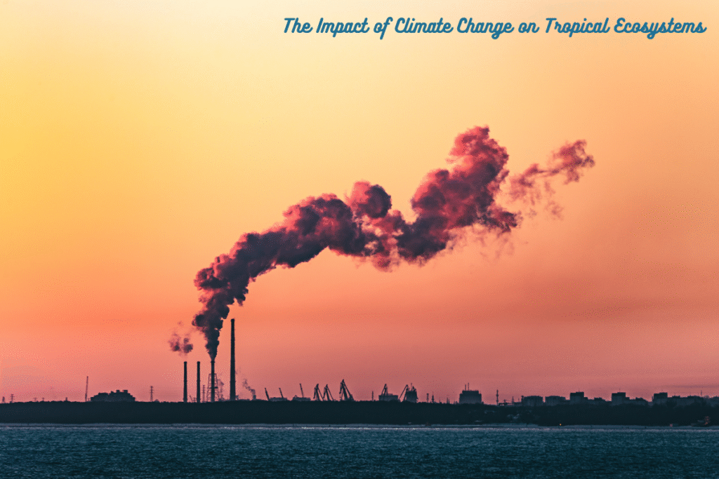 The Impact of Climate Change on Tropical Ecosystems